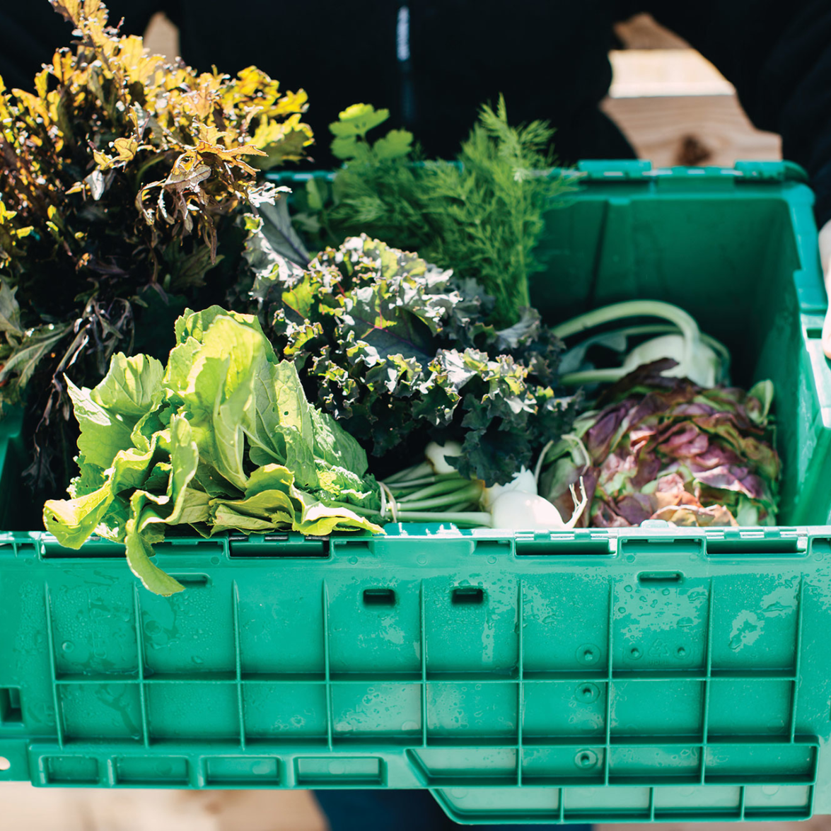 The Takeout Guide: Support Your Local Growers!